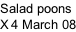 Salad poons X 4 March 08