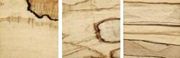 Beech spalted