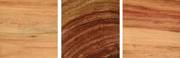 Tulipwood Brazilian